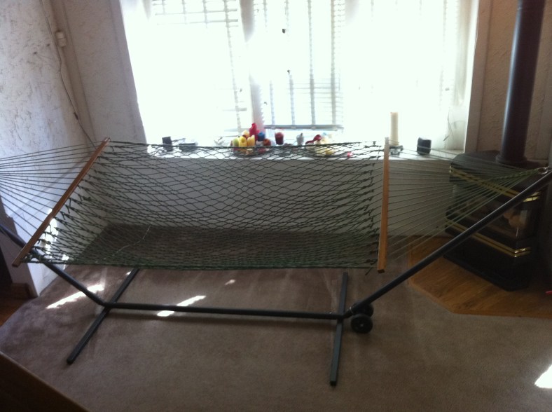 Hammock Time in Clearydome